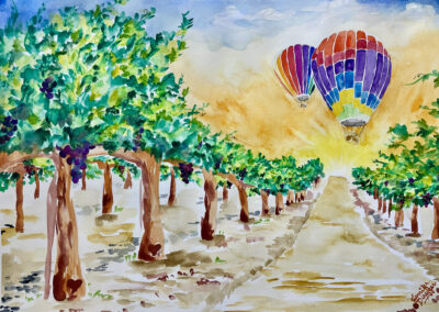 Temecula Wine Country Hot Air Balloons